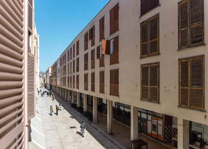 The Perfect 扎达尔